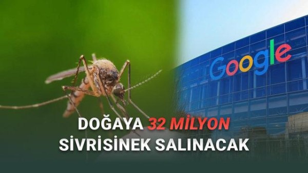 Google, 32 milyon özel sinek ile sağlık tehditlerine karşı savaş başlatıyor