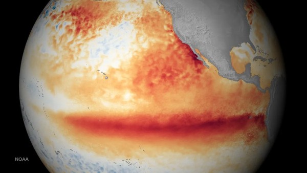 El Niño'nun İklim Üzerindeki Etkileri ve Uyarılar