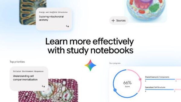 Google Gemini’nin “Study Notebooks” Özelliği Tüm Dillerde Kullanıma Açıldı