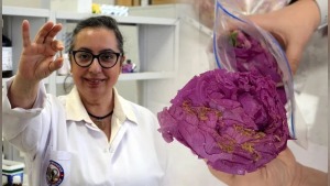 Isparta gülleri tablet formunda yutulabilir parfüme dönüştürüldü