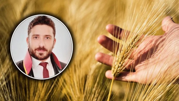 Şanlıurfa’da lisanslı depolarda “ürün senedi” çiftçinin dayanağı