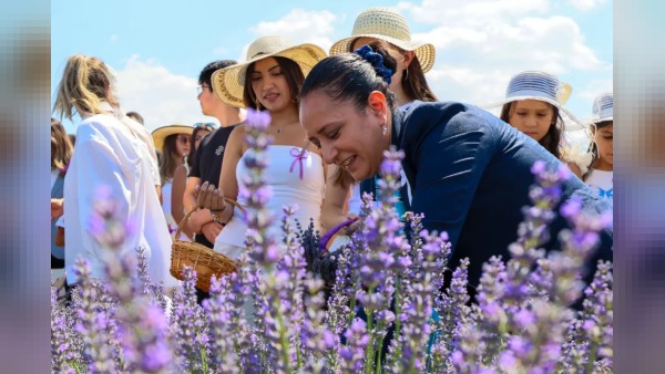 Burdur’da 2. Lavanta Hasat ve Sanat Günleri Lavantepe’de sona erdi