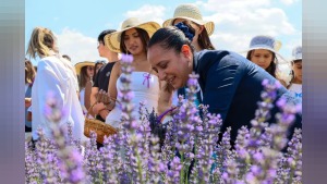 Burdur’da 2. Lavanta Hasat ve Sanat Günleri Lavantepe’de sona erdi