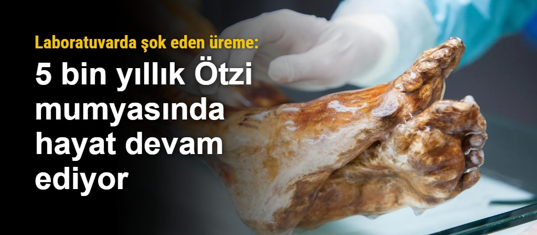Ötzi'nin Mumyası: Antik Hücrelerin Canlılığı Üzerine Şaşırtıcı Bulgular